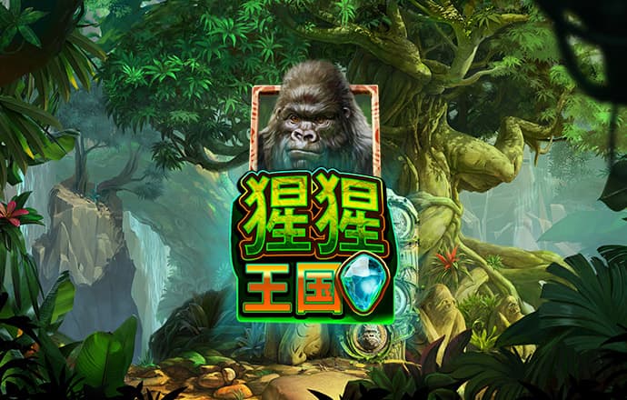 jnty体育官方app下载